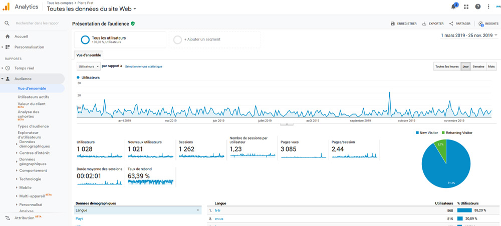 Audience Google Analytics